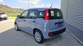 FIAT Panda usata, con Antifurto