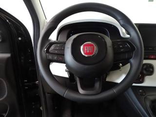 FIAT Panda usata, con Volante multifunzione