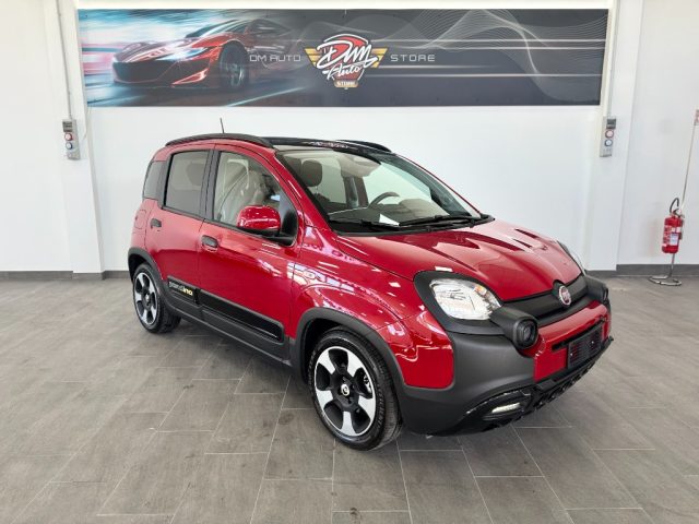 FIAT Panda usata, con Alzacristalli elettrici