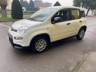 FIAT Panda usata, con Chiusura centralizzata