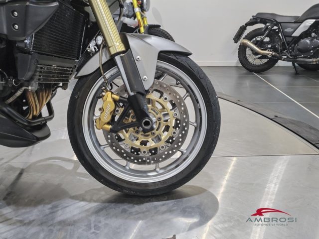 TRIUMPH Tiger 1050 usata 13