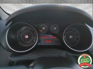 FIAT Punto usata 13