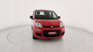 FIAT Panda usata 25