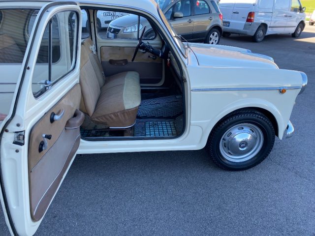 FIAT 1100 usata 13