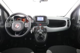 FIAT Panda usata 4