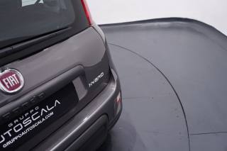 FIAT New Panda usata 25