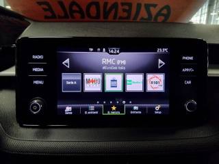 SKODA Fabia usata 19