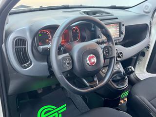 FIAT Panda Cross usata, con Controllo trazione