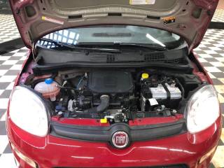 FIAT Panda usata 15