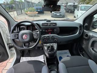 FIAT New Panda usata, con Fendinebbia