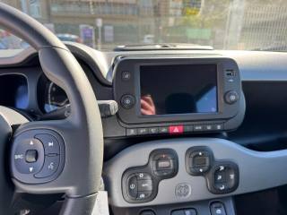 FIAT Panda Cross usata, con ESP