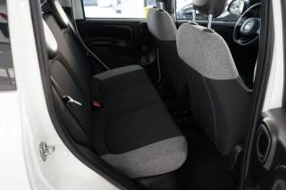 FIAT Panda usata 25