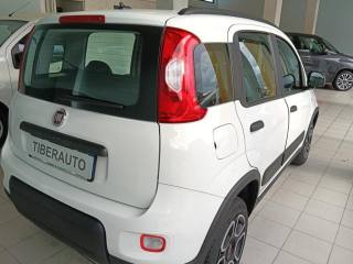 FIAT Panda usata, con Antifurto