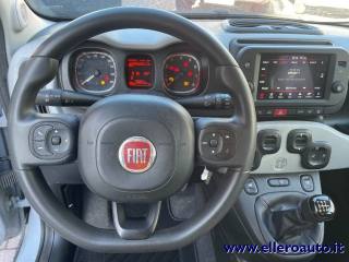 FIAT Panda Cross usata, con Servosterzo