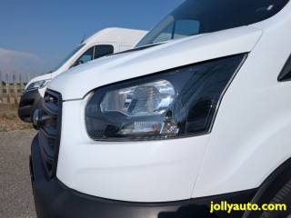FORD Transit usata, con Fendinebbia