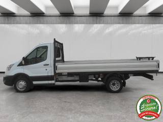 FORD Transit usata, con Fendinebbia