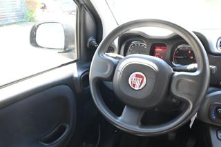 FIAT Panda usata 19