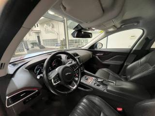 JAGUAR F-Pace usata, con Bracciolo