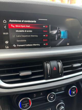 ALFA ROMEO Stelvio usata, con ESP