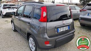 FIAT Panda usata, con Fendinebbia
