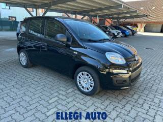 FIAT Panda 1.0 HYBRID ICON KM 0