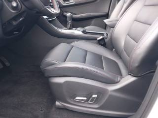 MG HS usata, con Fendinebbia