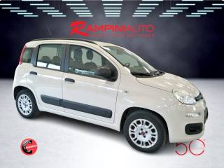 FIAT Panda usata 5