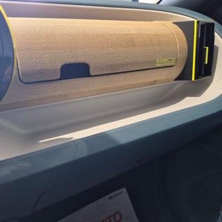 FIAT Grande Panda usata, con ESP