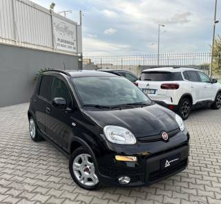 FIAT Panda usata, con Airbag Passeggero