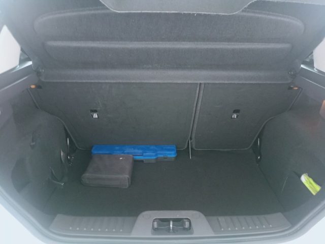 FORD Fiesta usata, con Cronologia tagliandi