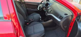 KIA Picanto usata, con Servosterzo