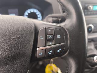 FORD Transit Custom usata 14