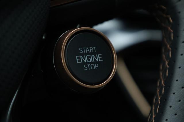 CUPRA Leon usata, con Immobilizzatore elettronico