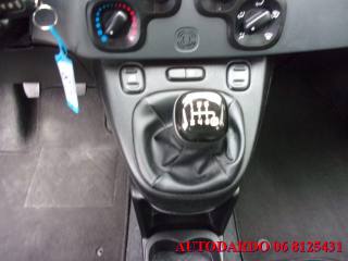 FIAT Panda usata, con Airbag testa