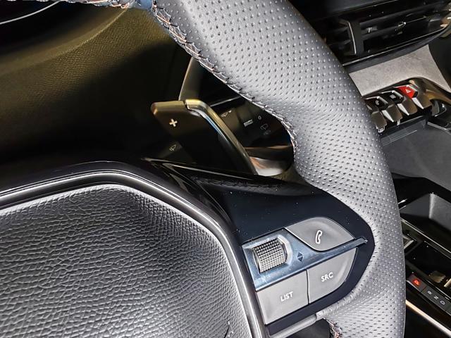 PEUGEOT 3008 usata, con ESP