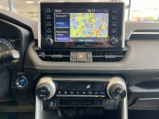 TOYOTA RAV 4 usata, con Fendinebbia