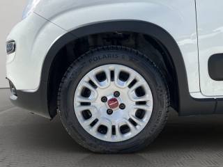 FIAT Panda usata 15
