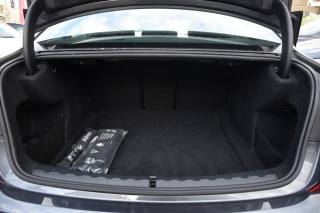 BMW 320 usata, con Fendinebbia