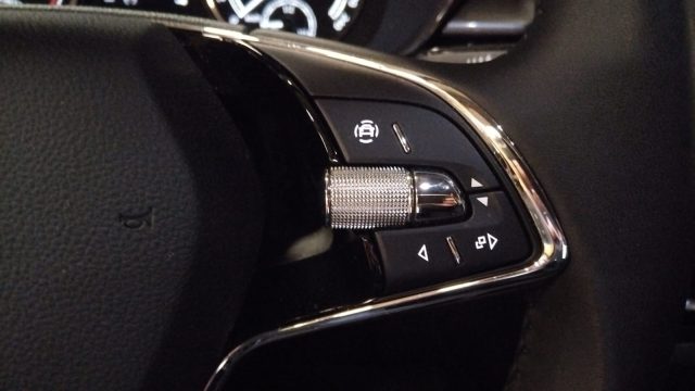 SKODA Fabia usata, con ESP