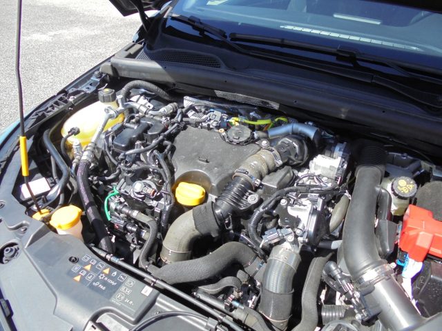 RENAULT Clio usata 40