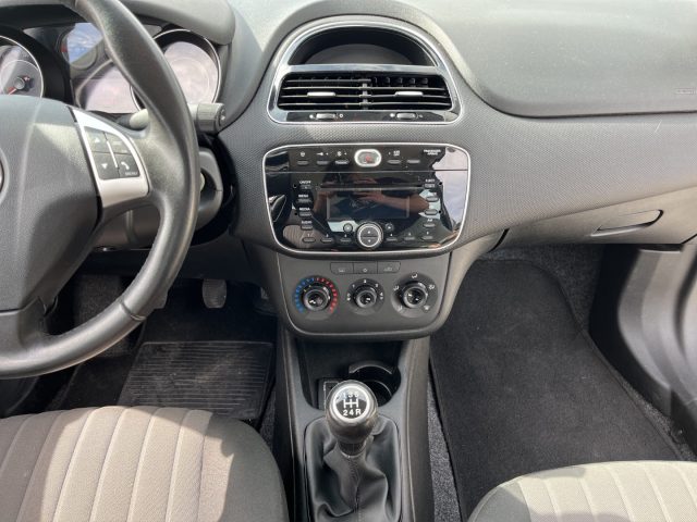 FIAT Punto usata 12