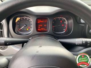 FIAT Panda usata, con Fendinebbia