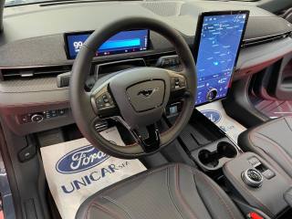 FORD Mustang Mach-E usata, con Interni in pelle