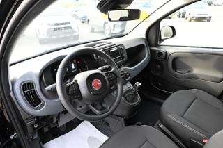 FIAT Panda usata, con Fendinebbia