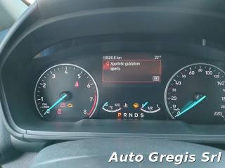 FORD EcoSport usata, con Chiusura centralizzata