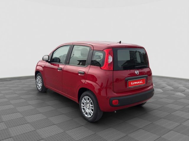 FIAT Panda usata 2