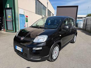 FIAT Panda usata, con Alzacristalli elettrici