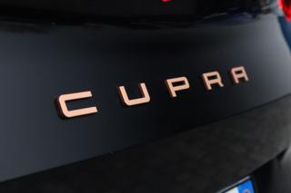 CUPRA Formentor usata, con Servosterzo