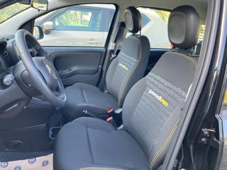 FIAT Panda usata, con Antifurto