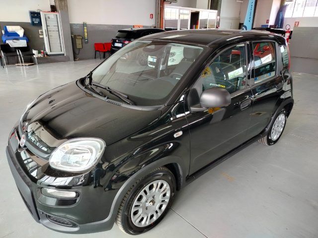 FIAT Panda usata 13